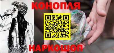 сатива Обь