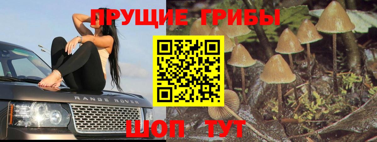 Галлюциногенные грибы мицелий Сургут